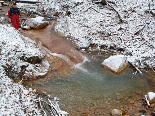 Foto in jos pe valea Bartosa (c) Petru Goja